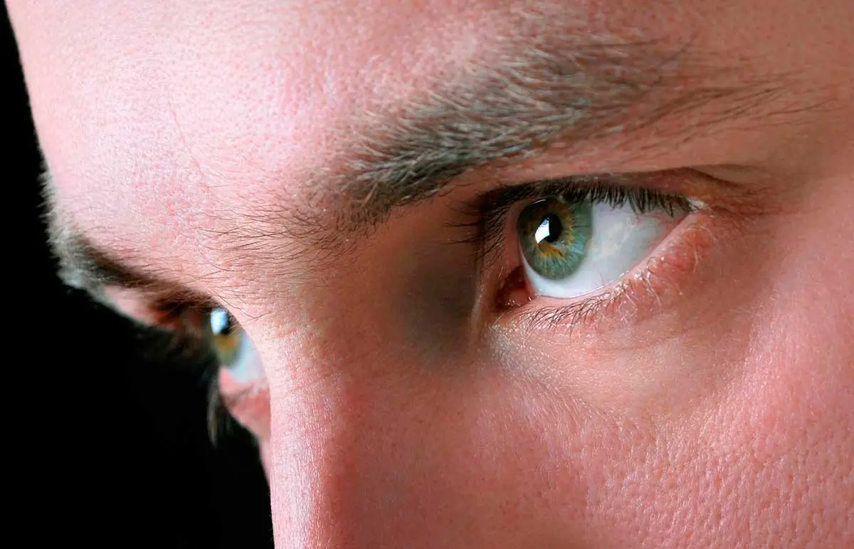 test de inteligencia esquizofrenica - Qué test miden la esquizofrenia