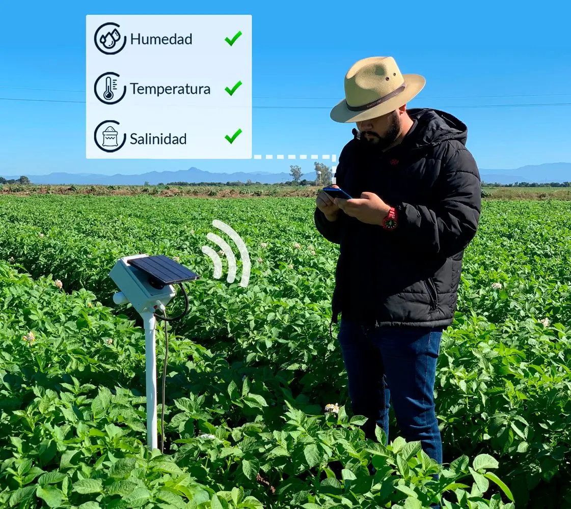 Agricultura inteligente: Ejemplos y beneficios - Qué tipo de agricultura hay agricultura inteligente ejemplos - Qué tipo de agricultura hay