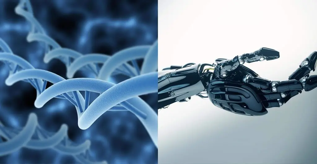 BCI Inteligencia Artificial: El Futuro de la Interfaz Cerebro-Computadora - Qué tipo de aplicaciones de interfaz cerebro computador bci inteligencia artificial - Qué tipo de aplicaciones de interfaz cerebro computador
