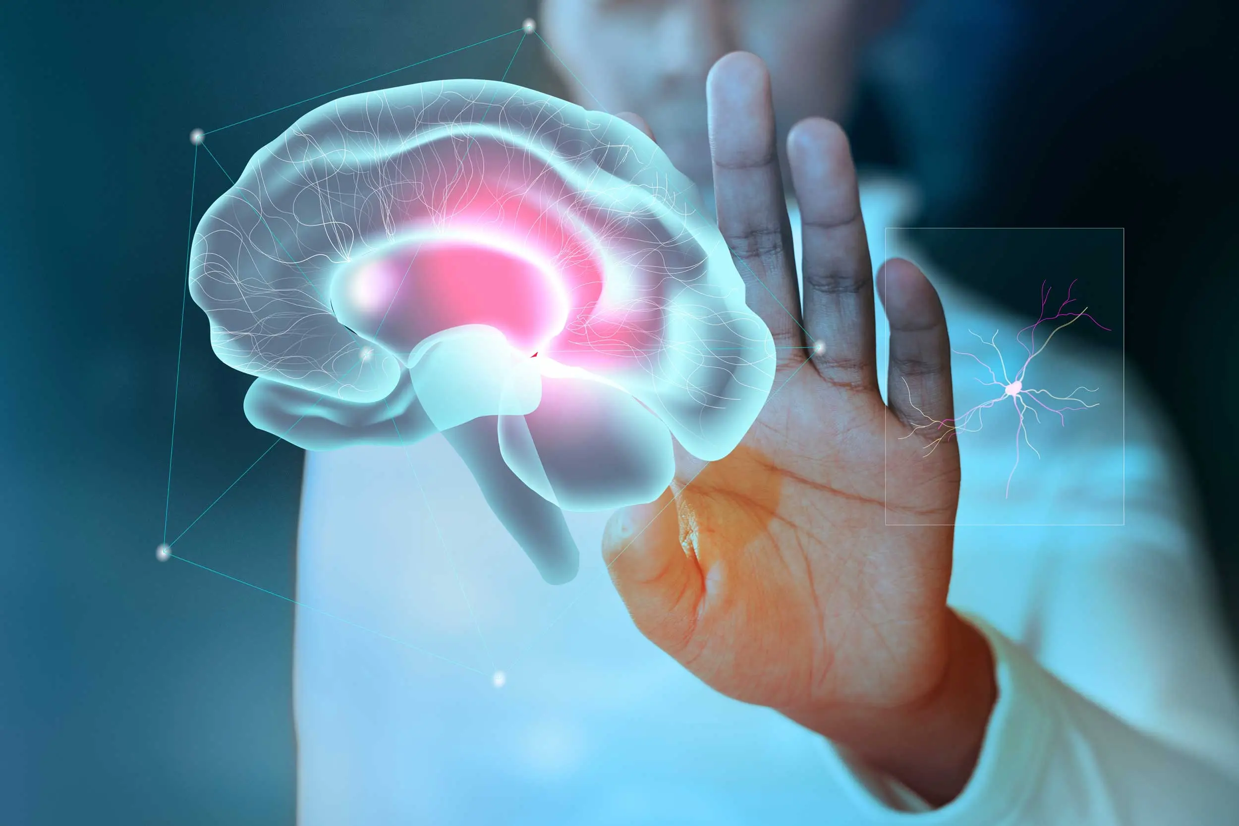 cerebro energia inteligencia - Qué tipo de energía produce el cerebro