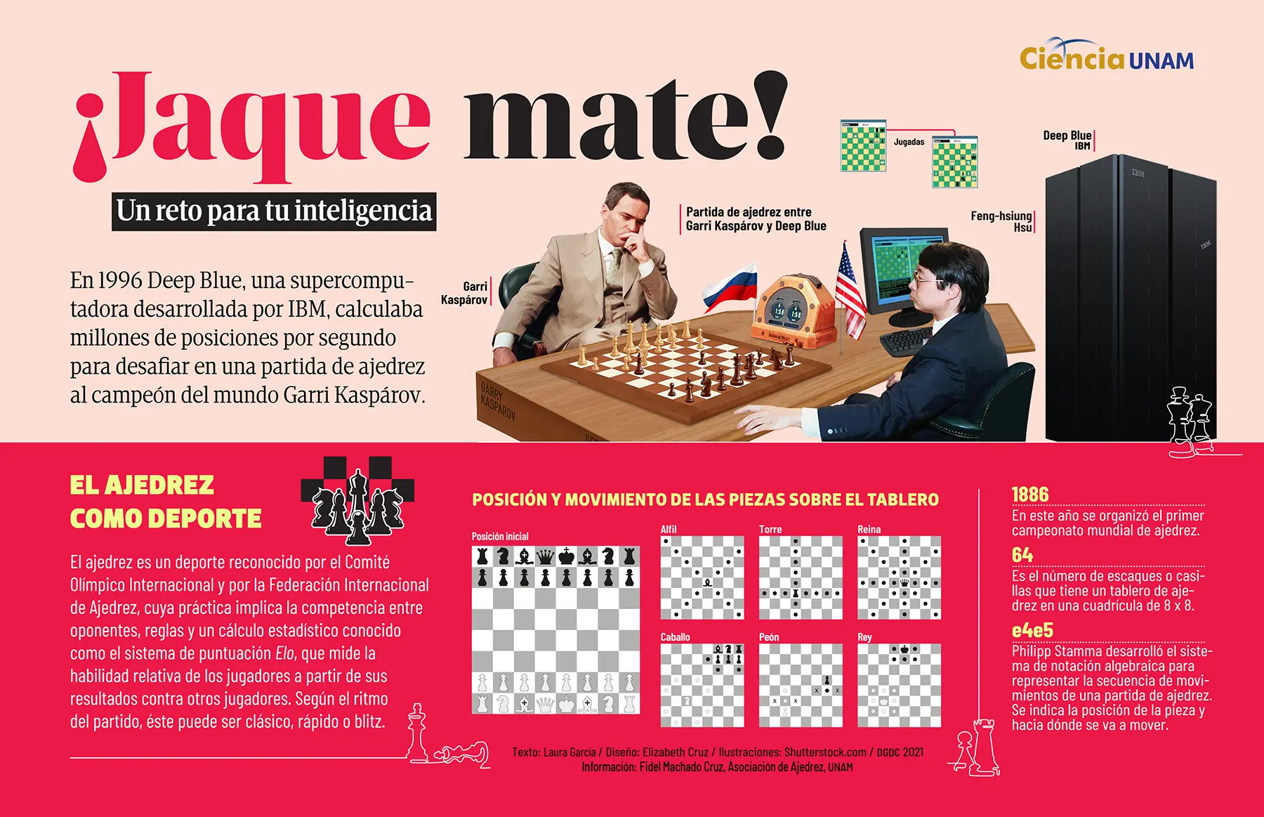 los más inteligentes de ajedrez - Qué tipo de inteligencia se usa en el ajedrez