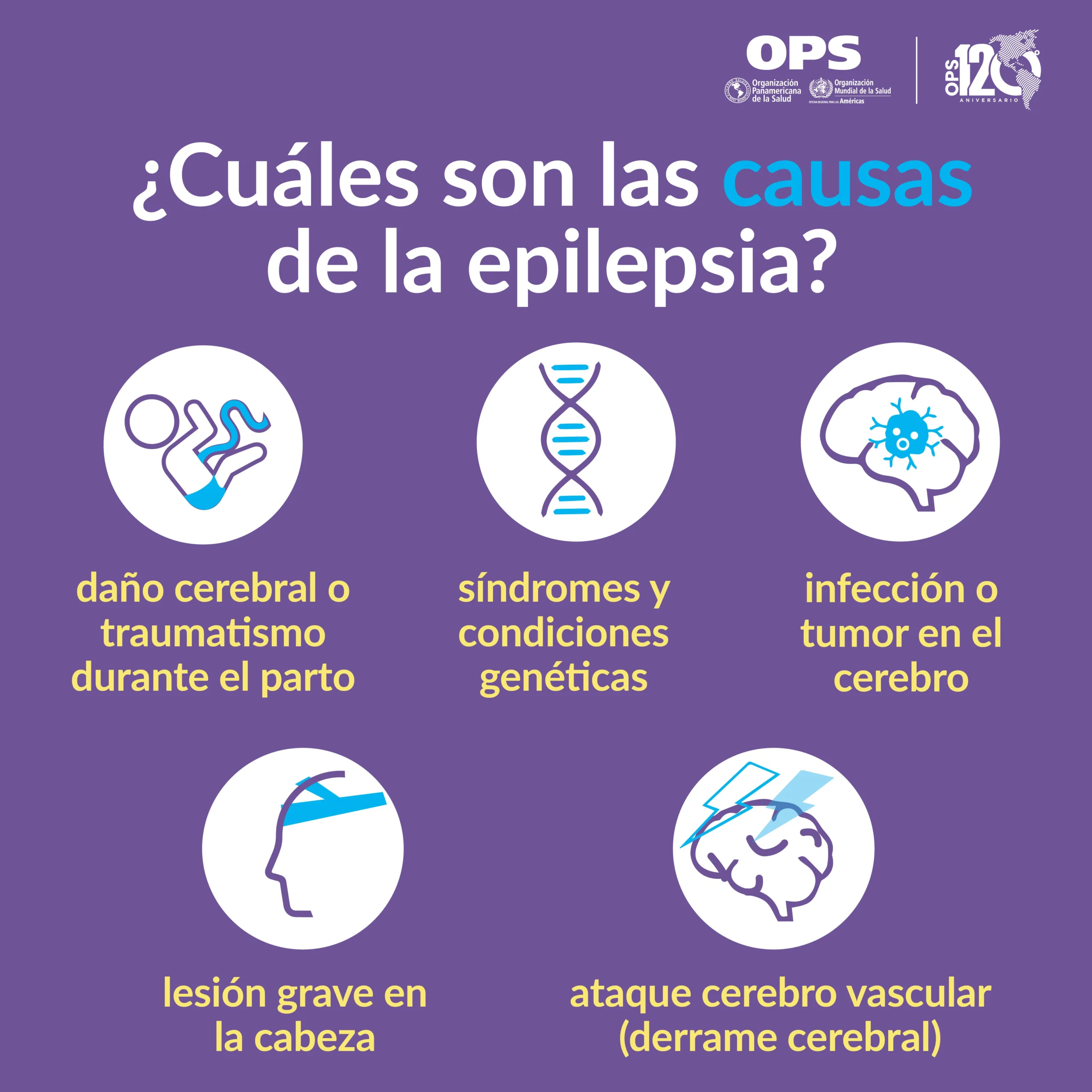Epilepsia e inteligencia superior - Qué tipo de memoria afecta la epilepsia epilepsia e inteligencia superior - Qué tipo de memoria afecta la epilepsia