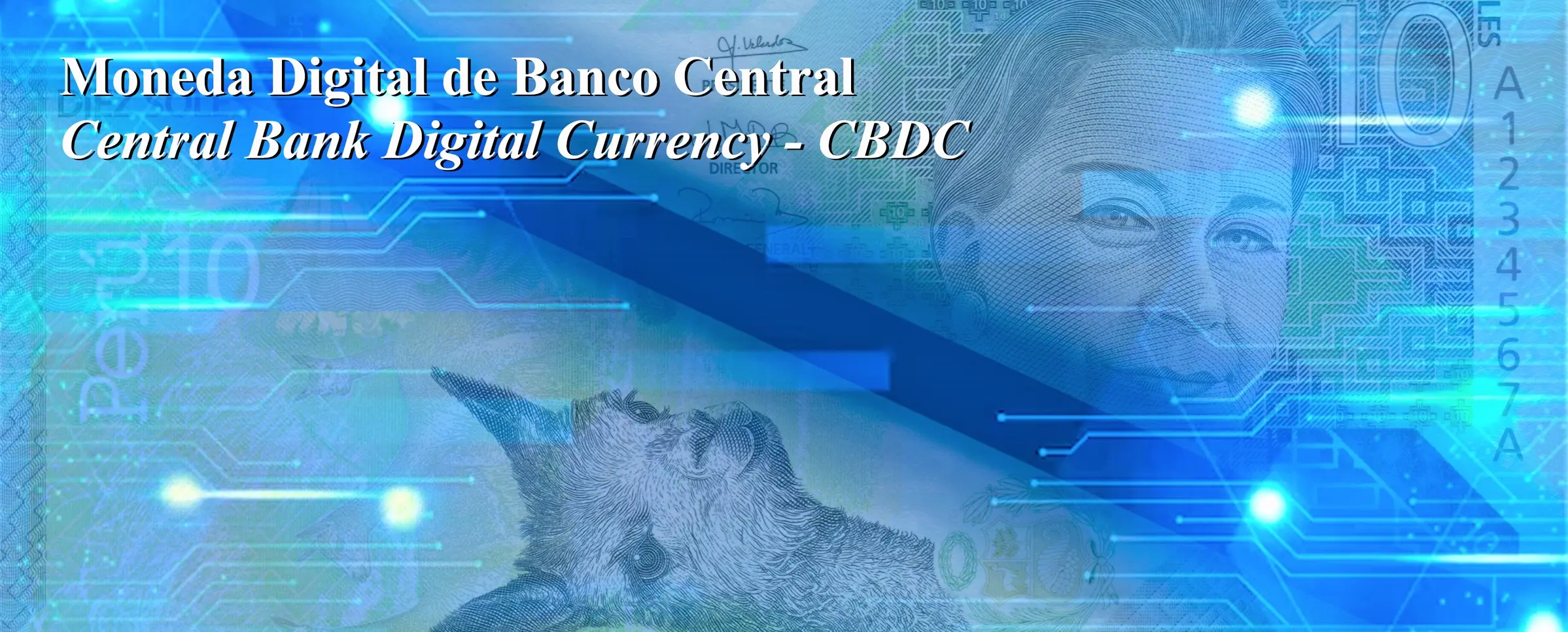 Banco de Reserva del Perú: Inteligencia Comercial y Funciones - Quién creó el BCR en Perú banco de reserva del peru inteligencia comercial - Quién creó el BCR en Perú