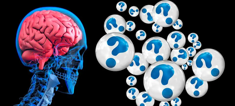 inteligencia bifactorial - Quién es el autor de la teoría bifactorial