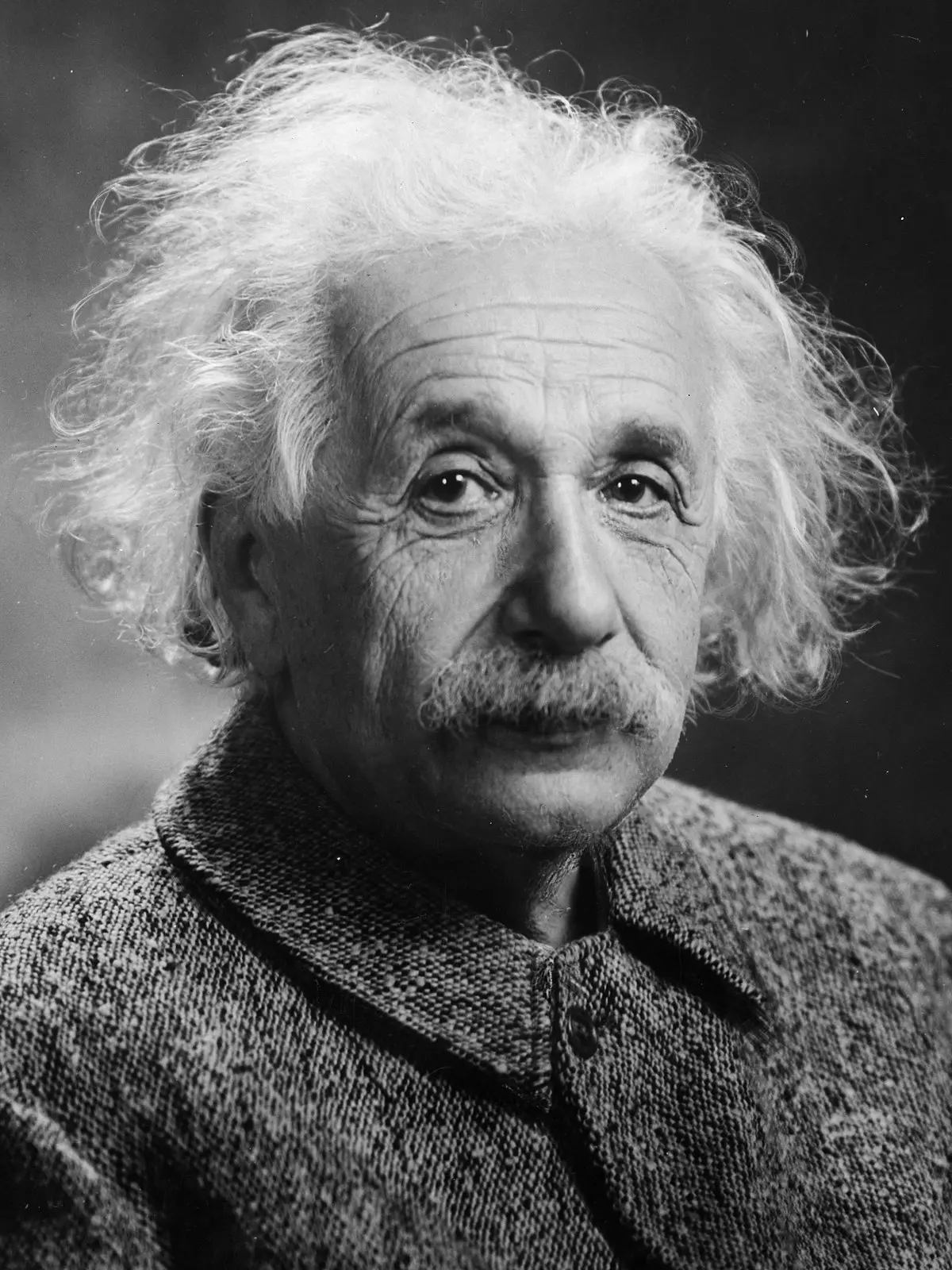 a mayor cerebro mayor inteligencia quien estudio - Quién estudio el cerebro de Albert Einstein