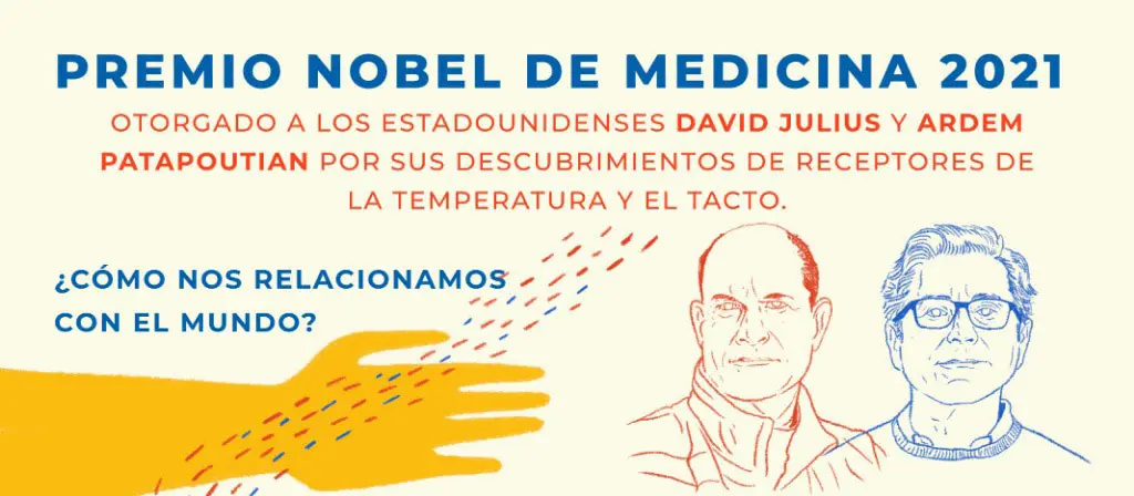 inteligencia social palmio nobel de la medicina - Quién ganó el Premio Nobel de Medicina y porqué