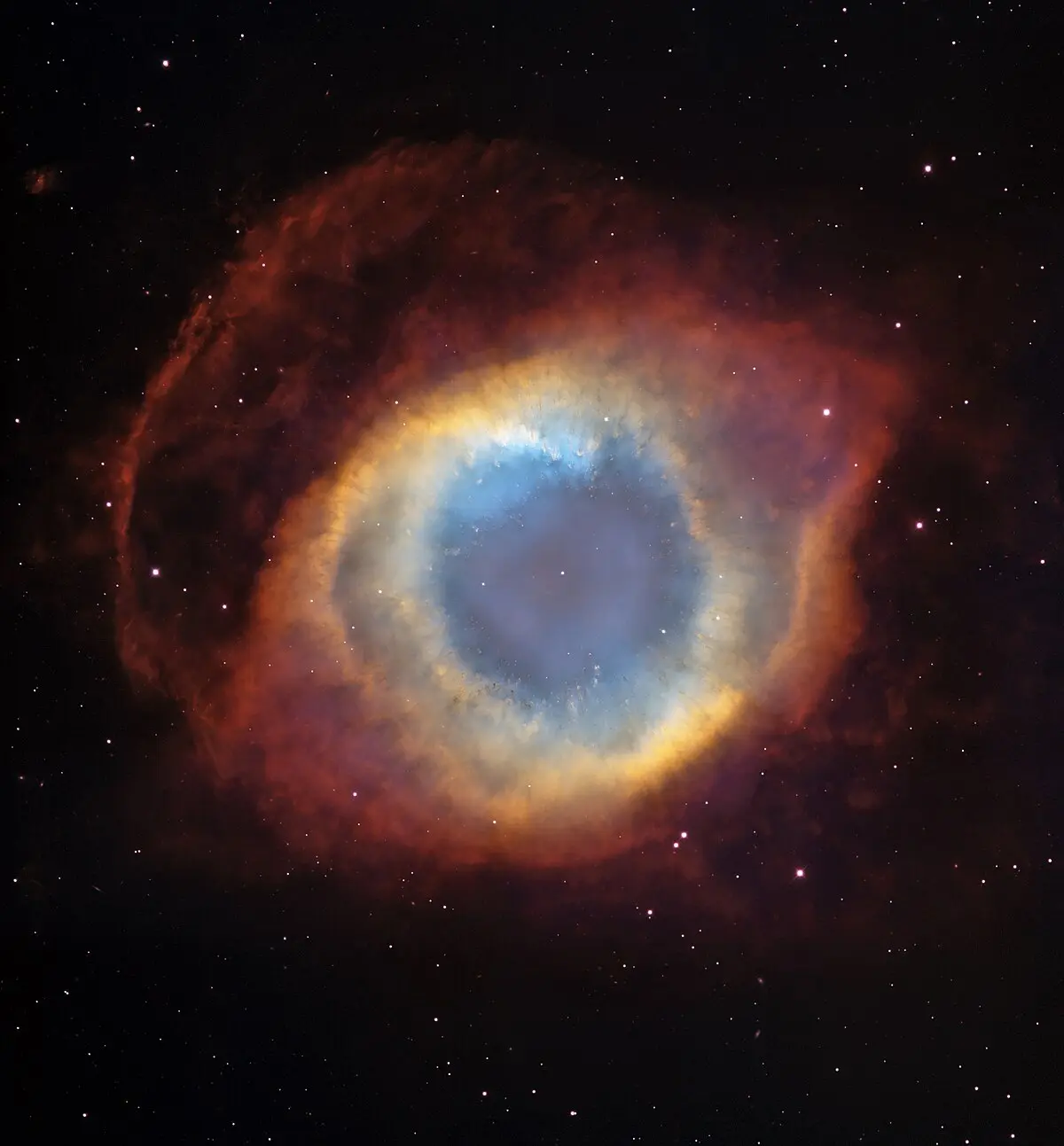las inteligencias de neil degrasse tyson - Quién narra la serie Cosmos