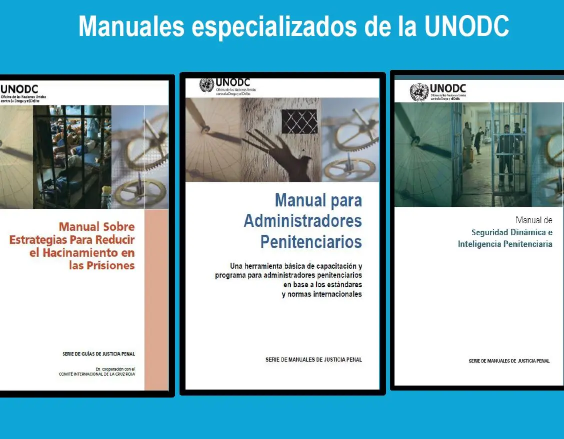 manual de seguridad dinamica e inteligencia penitenciaria - Quién realiza los planes de seguridad en un establecimiento penitenciario