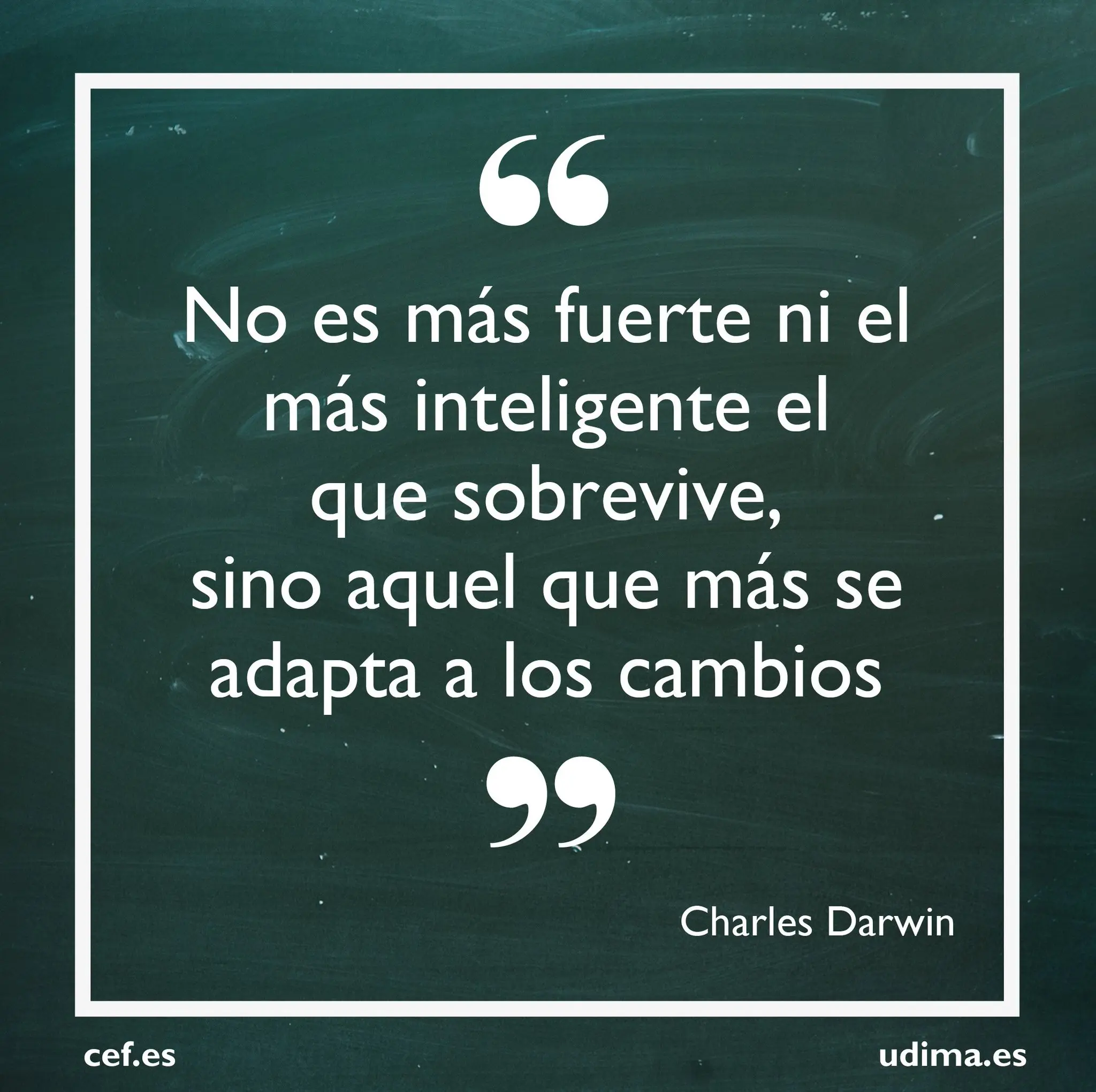 charles darwin el mas inteligente no sobrevive - Quién sobrevive no es el más fuerte ni el más inteligente