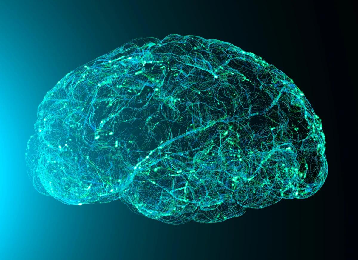 Células de inteligencia: Tomando decisiones de manera autónoma - Son inteligentes las células individuales celulas de inteligencia - Son inteligentes las células individuales