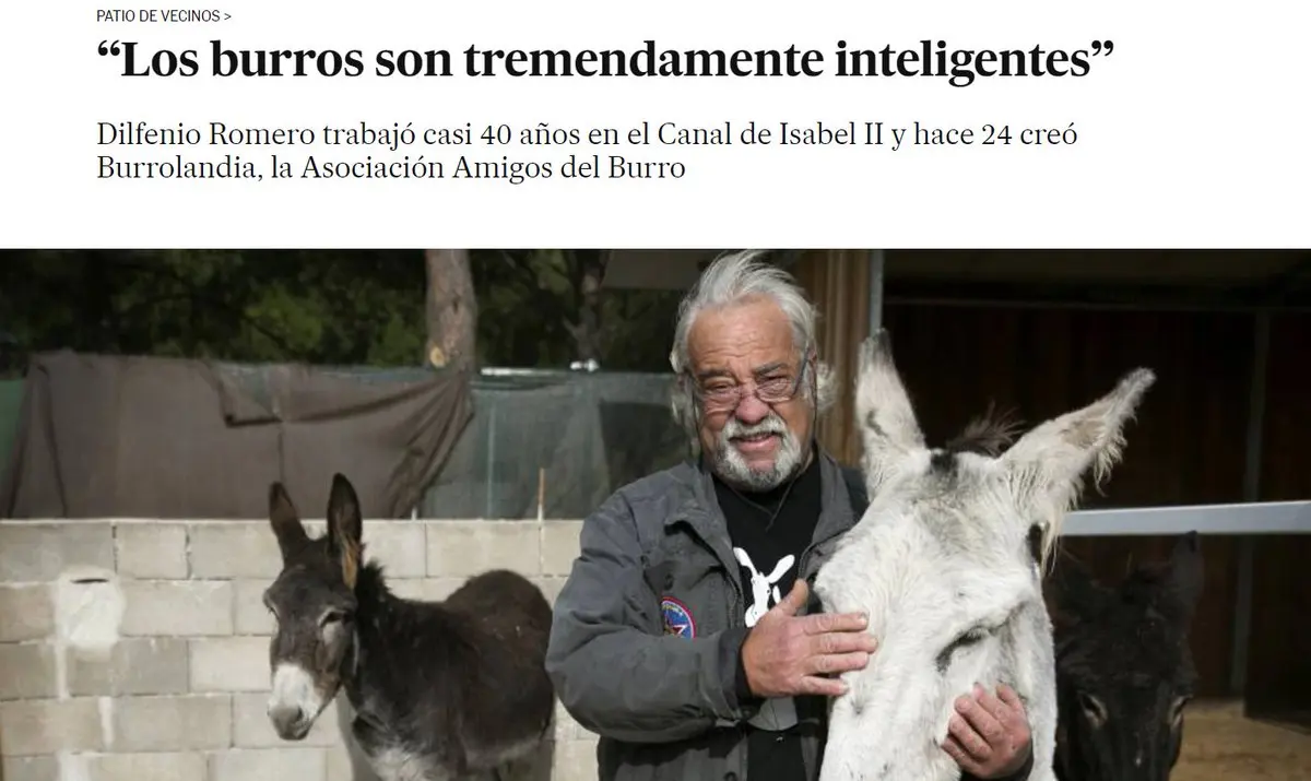 quien es mas inteligente el burro o el caballo - Son las mulas más inteligentes que los caballos y los burros
