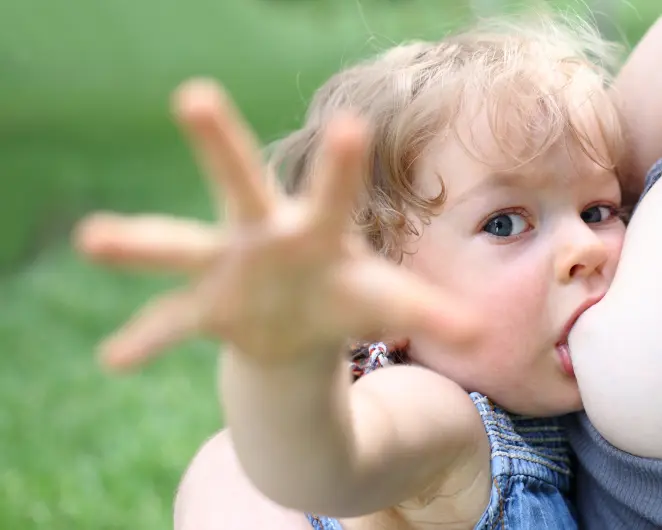 bebes inteligentes tomando leche materna - Son los bebés amamantados más inteligentes que los alimentados con fórmula